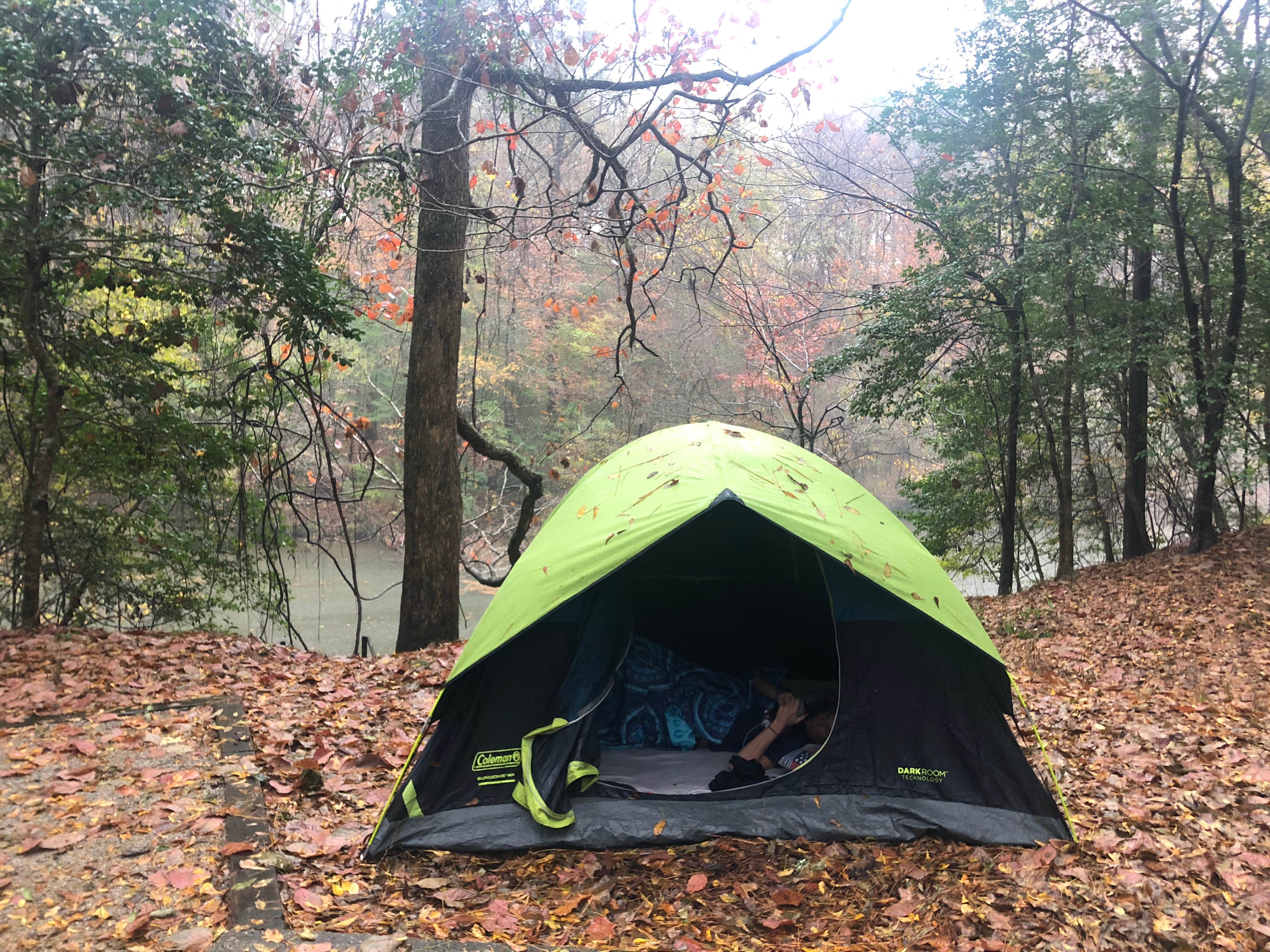 Camper submitted image from Isaac Creek - 5