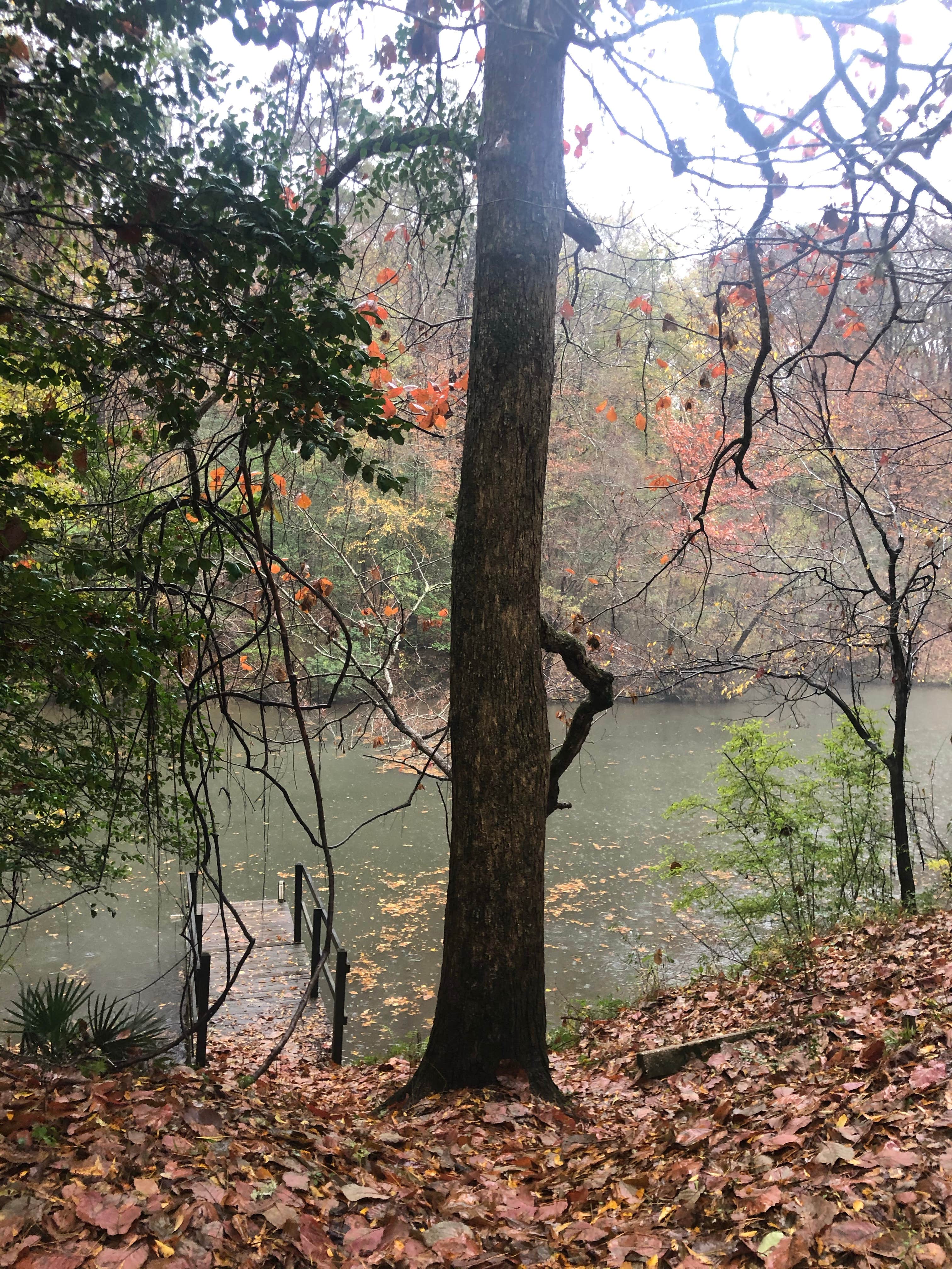 Camper submitted image from Isaac Creek - 5