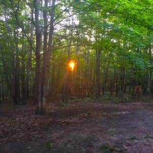 Camper-submitted photo at Teal near Dixie, WA