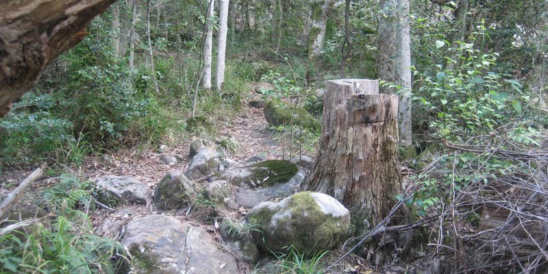 Camper submitted image from Teal