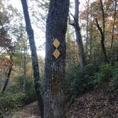 Review photo of Cloudland Canyon State Park Campground by Lee D., December 19, 2019