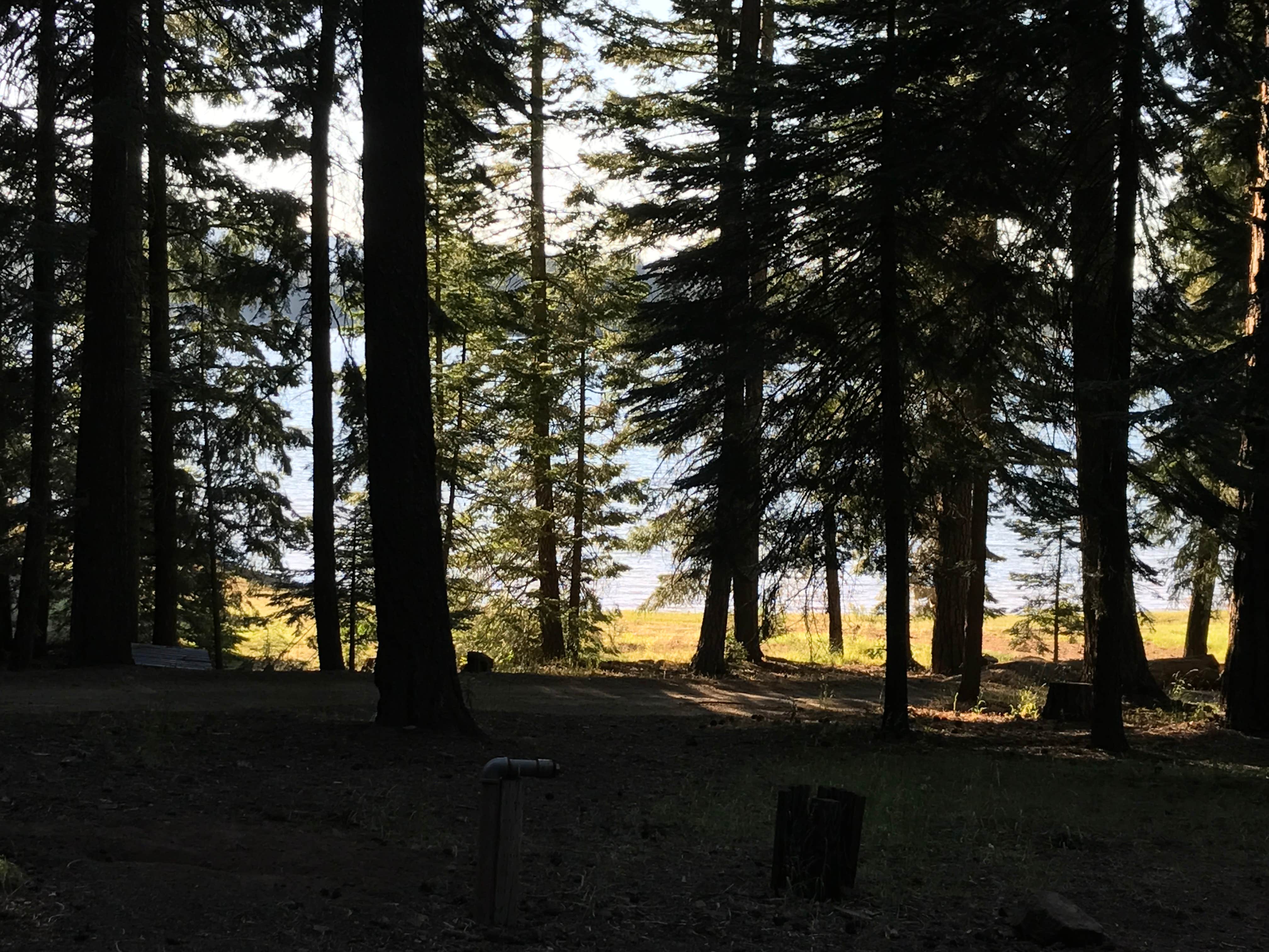 Camper submitted image from Jackson County Howard Prairie Lake Resort - 3