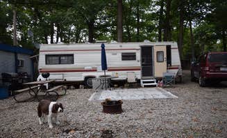 Bill T.'s photo of camping with pets at Four Lakes Family Campground near Okemos, MI