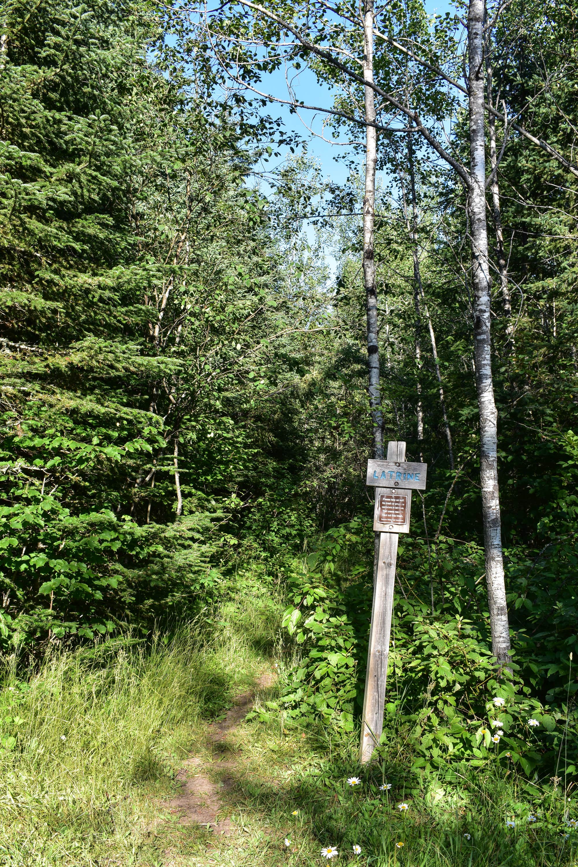 Camper-submitted photo at Sundling Creek Campsite near Grand Marais, MN