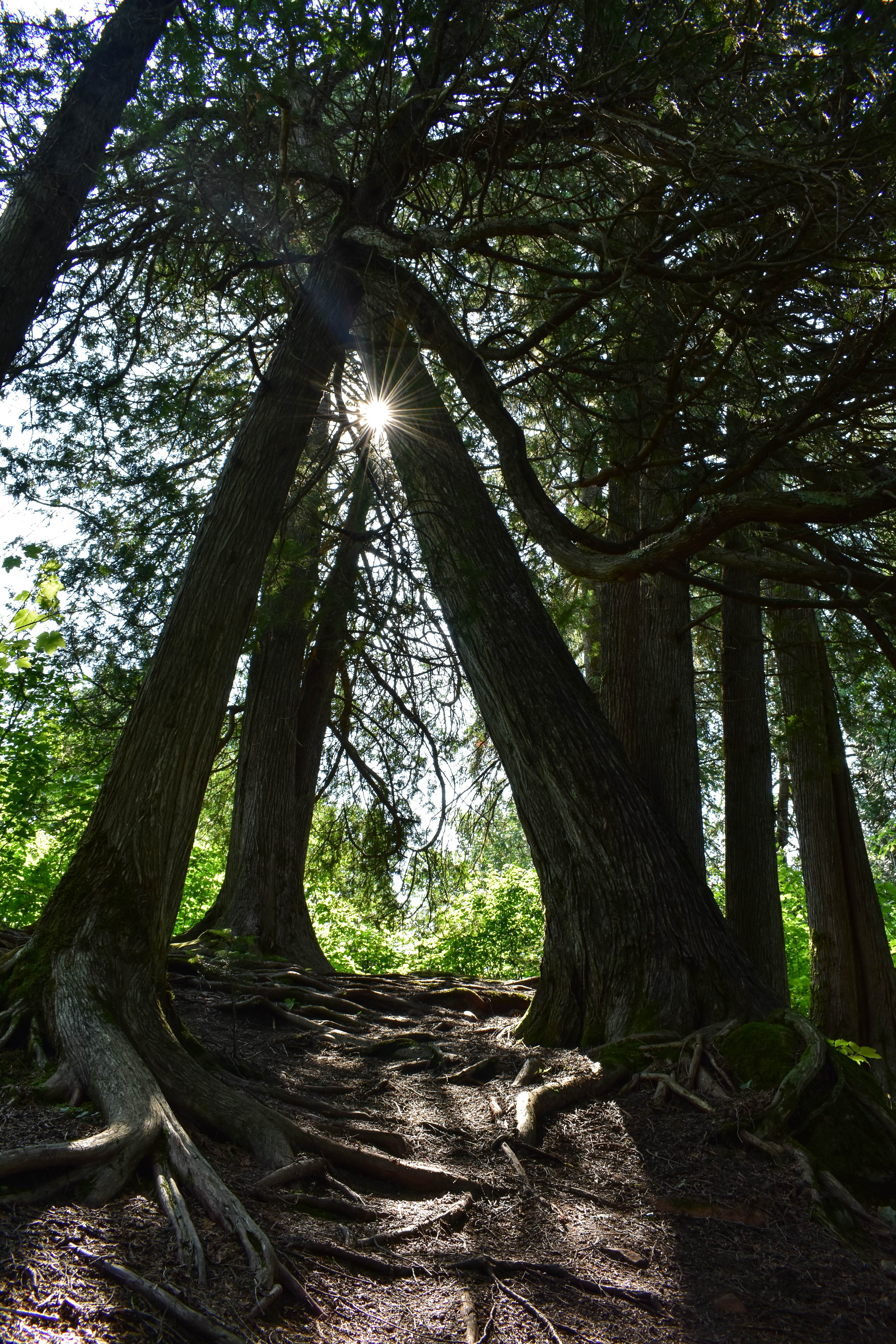 Camper-submitted photo at North Cascade River Campsite near Grand Marais, MN