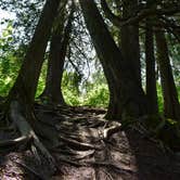 Review photo of North Cascade River Campsite by Steph H., August 26, 2017