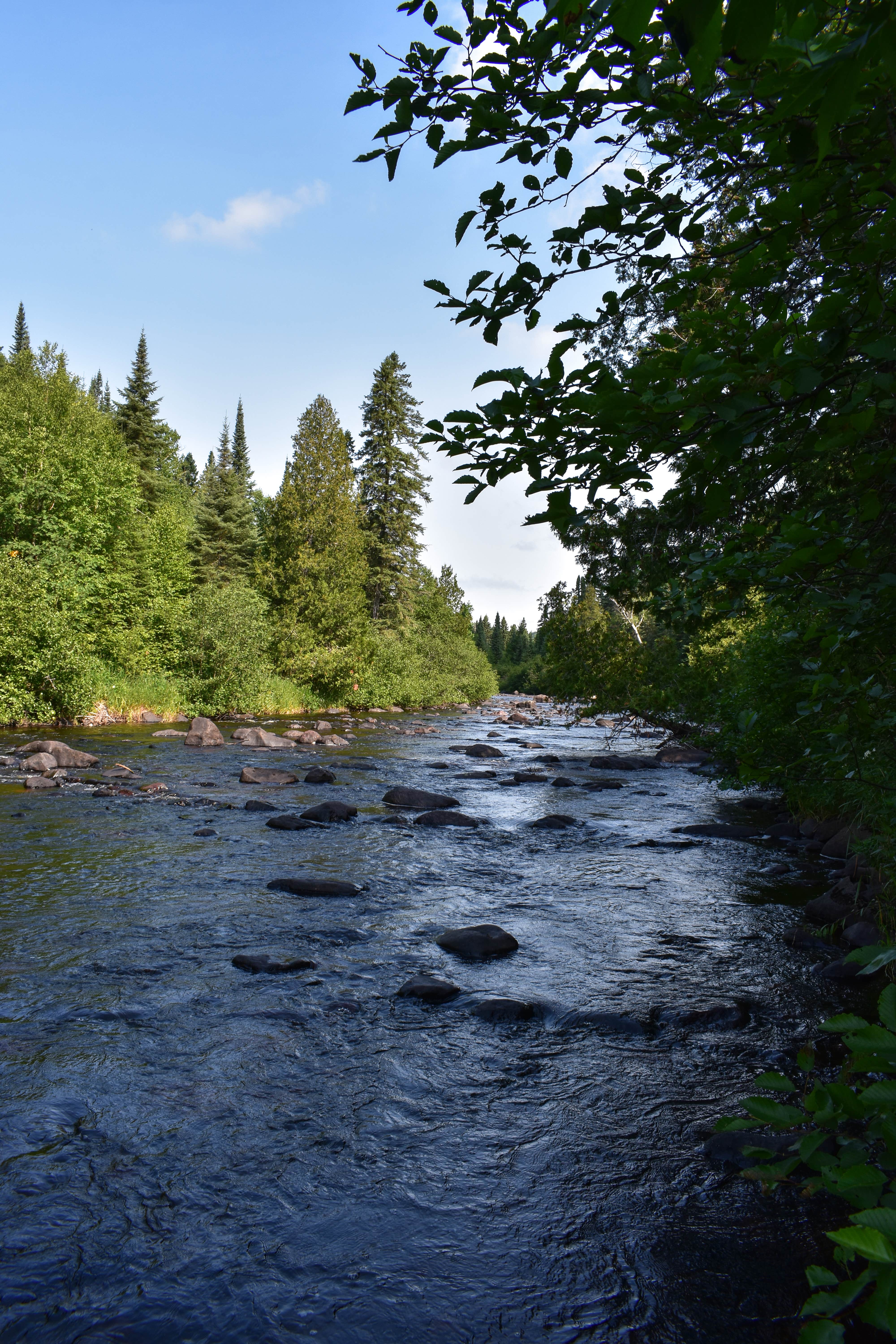 Camper-submitted photo at North Cascade River Campsite near Grand Marais, MN
