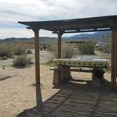 Review photo of Borrego Palm Canyon Campground — Anza-Borrego Desert State Park by Colette K., August 25, 2017