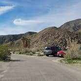 Review photo of Borrego Palm Canyon Campground — Anza-Borrego Desert State Park by Colette K., August 25, 2017