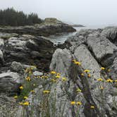 Review photo of Duck Harbor Campground — Acadia National Park by Patricia P., August 26, 2017
