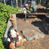 Review photo of Duck Harbor Campground — Acadia National Park by Patricia P., August 26, 2017