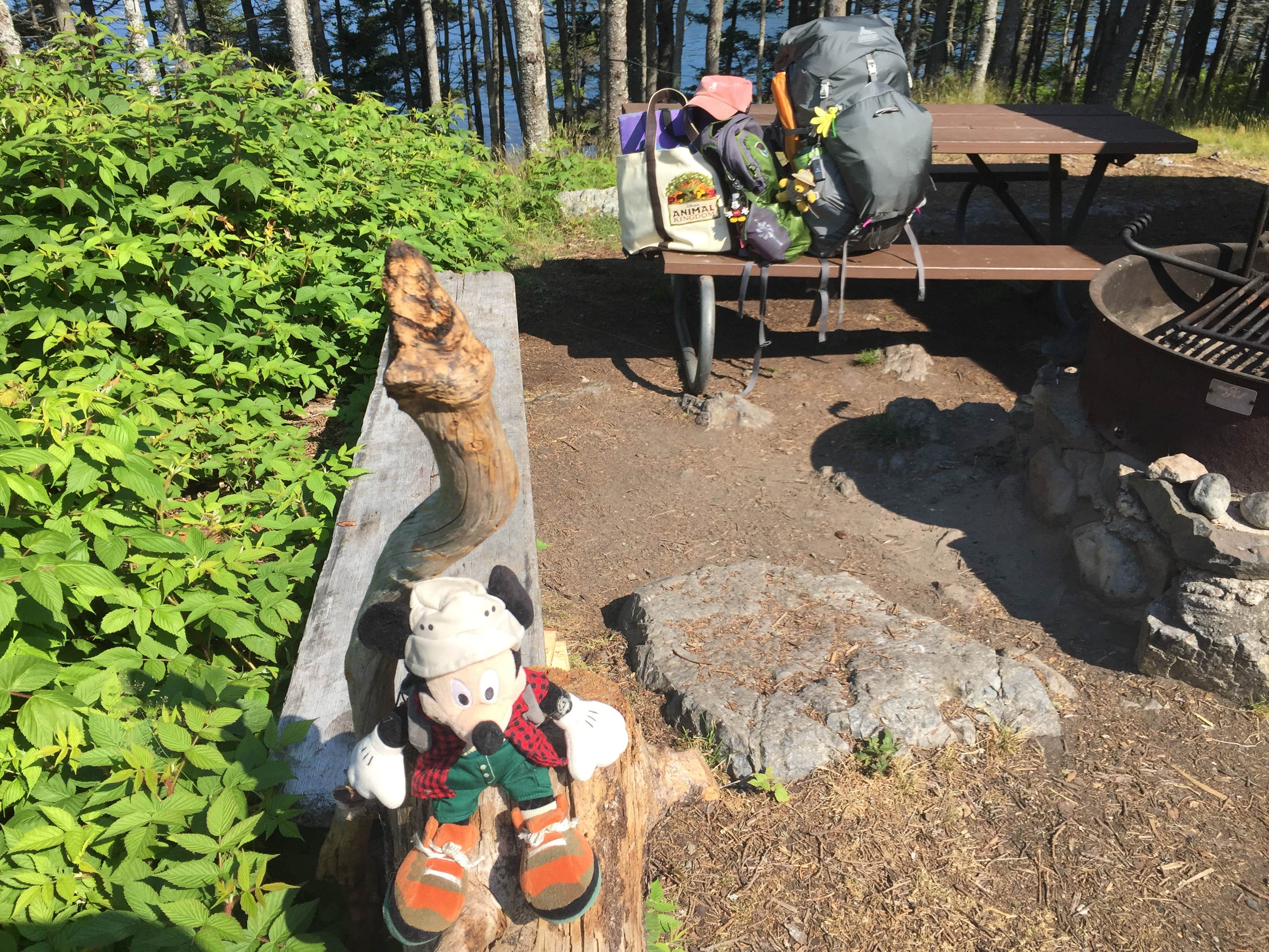 Camper submitted image from Duck Harbor Campground — Acadia National Park - 3