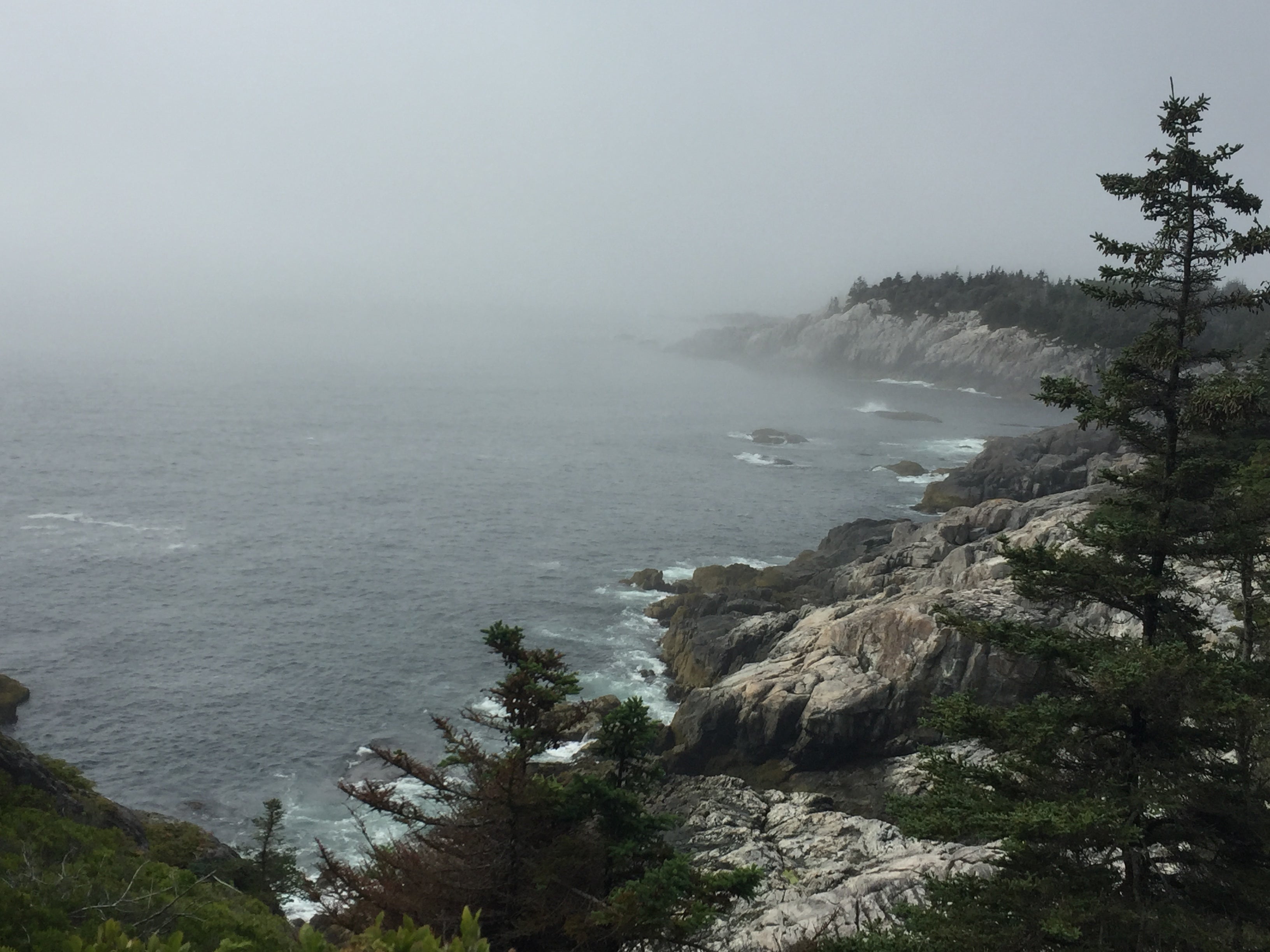 Camper submitted image from Duck Harbor Campground — Acadia National Park - 3