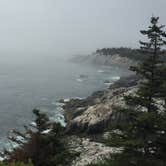 Review photo of Duck Harbor Campground — Acadia National Park by Patricia P., August 26, 2017