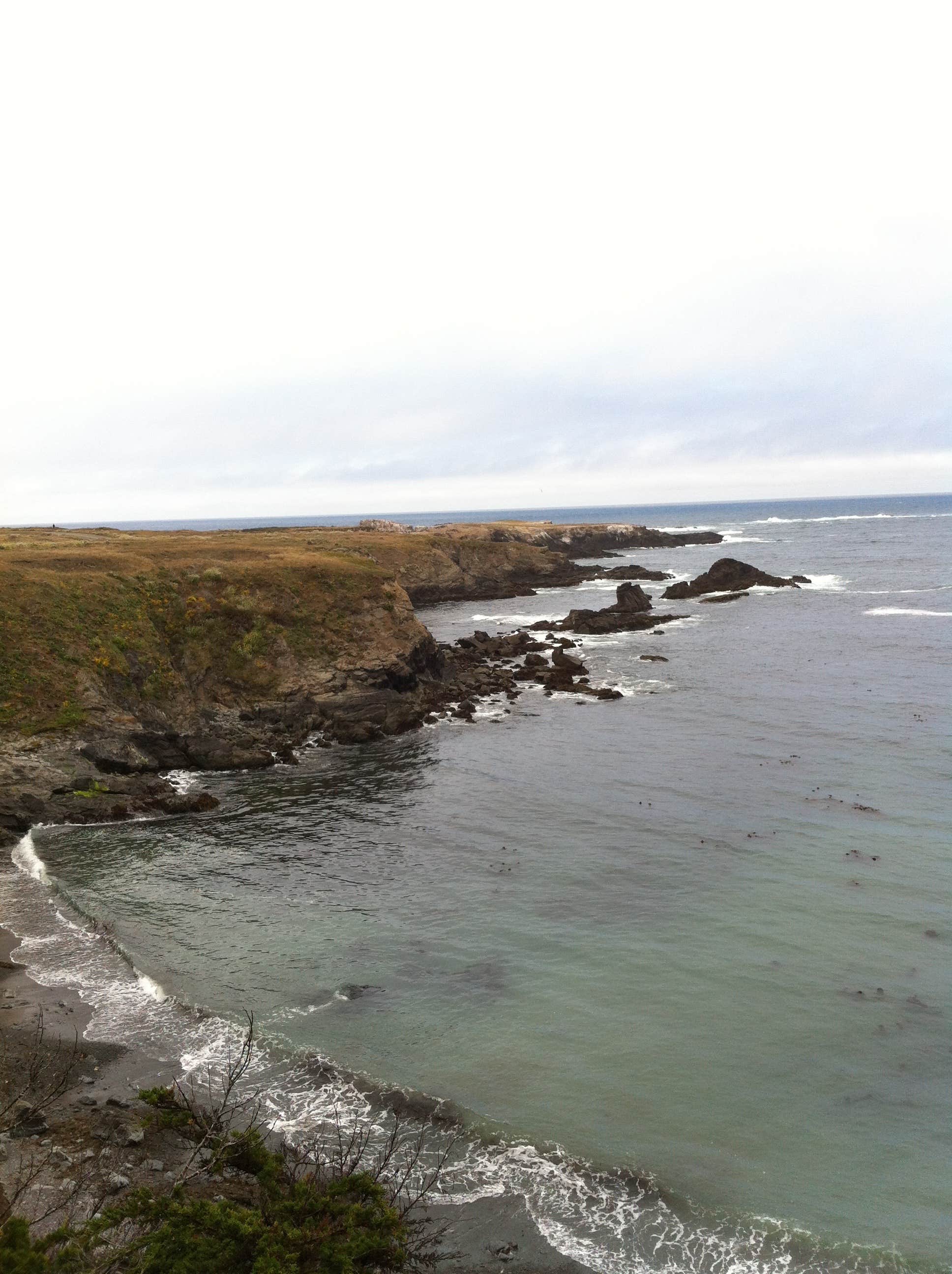 Camper submitted image from Russian Gulch State Park Campground - 3