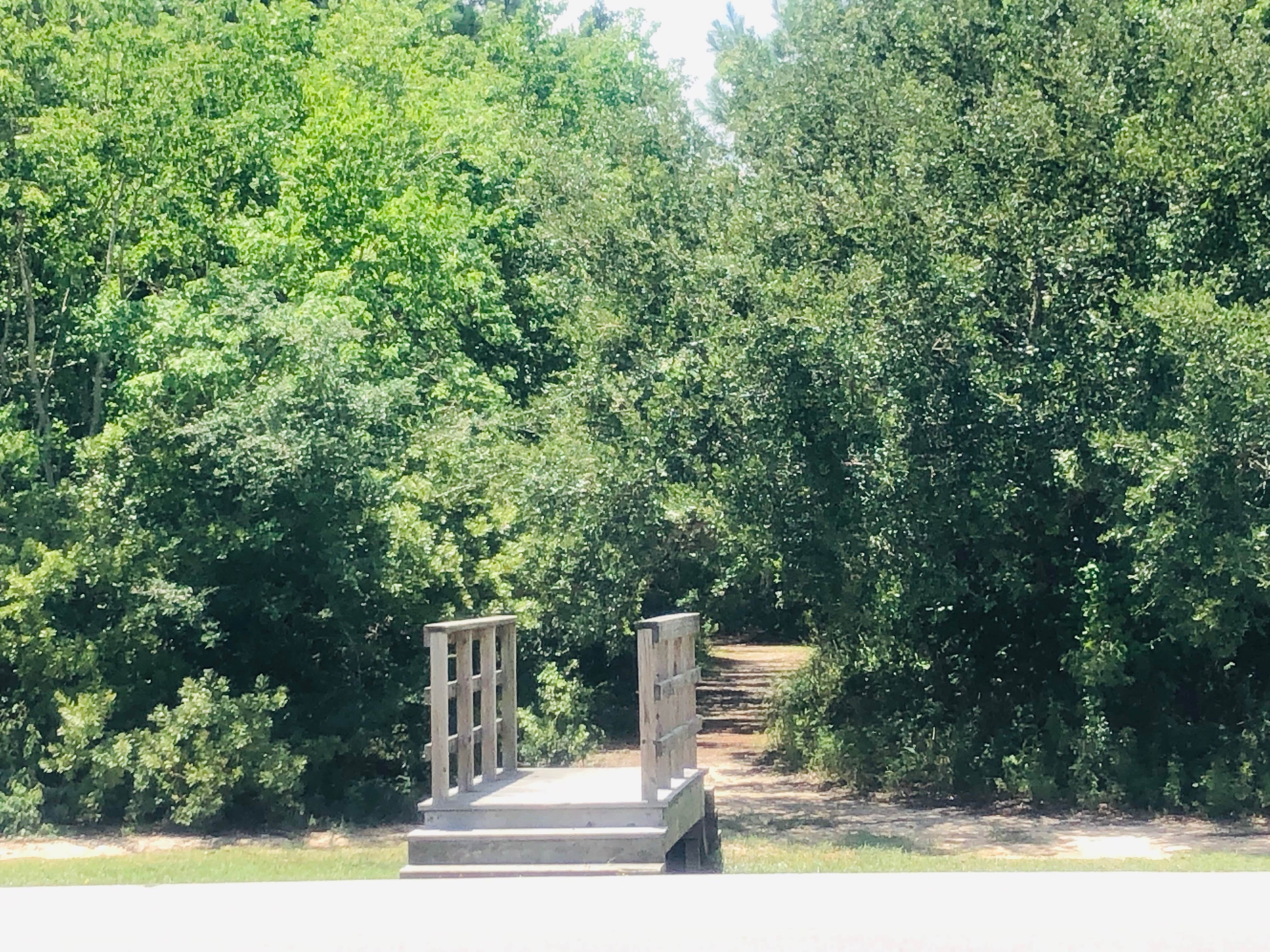 Buccaneer State Park Campground