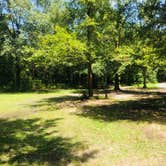 Review photo of Buccaneer State Park Campground by Shelly S., December 21, 2019