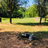 Review photo of Four Paws Kingdom Campground & Dog Retreat by Shelly S., December 21, 2019