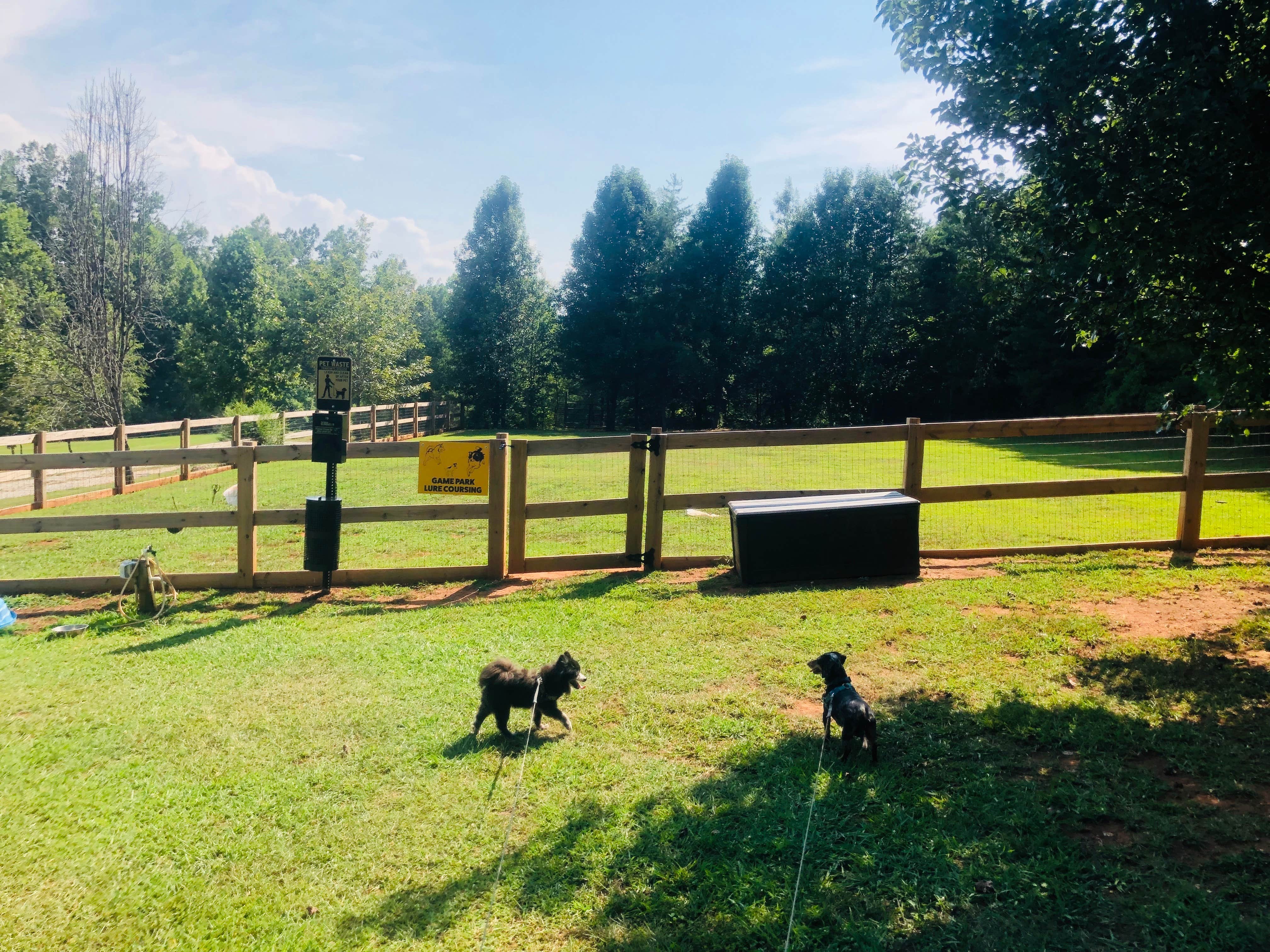 Shelly S.'s photo of camping with pets at Four Paws Kingdom Campground & Dog Retreat near Boiling Springs, NC