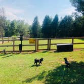 Review photo of Four Paws Kingdom Campground & Dog Retreat by Shelly S., December 21, 2019