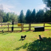 Review photo of Four Paws Kingdom Campground & Dog Retreat by Shelly S., December 21, 2019