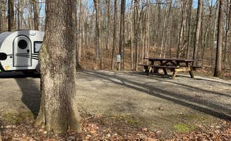 Matt T.'s photo of rv camping at Oak Point - Lake Glendale near Karnak, IL
