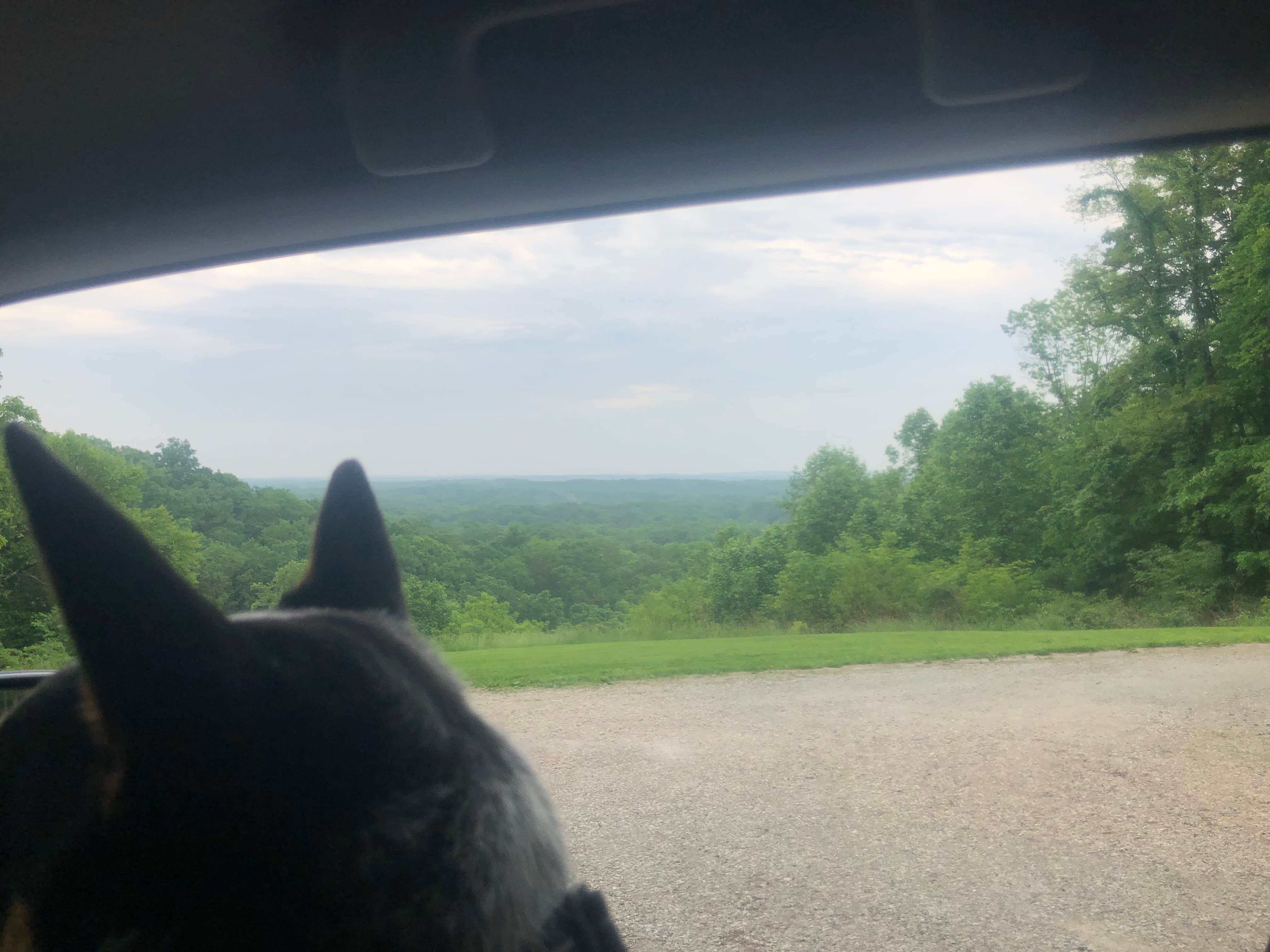 Shelly S.'s photo of camping with pets at Raccoon Ridge Campground — Brown County State Park near Franklin, IN