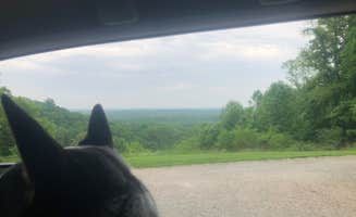 Shelly S.'s photo of camping with pets at Raccoon Ridge Campground — Brown County State Park near Martinsville, IN