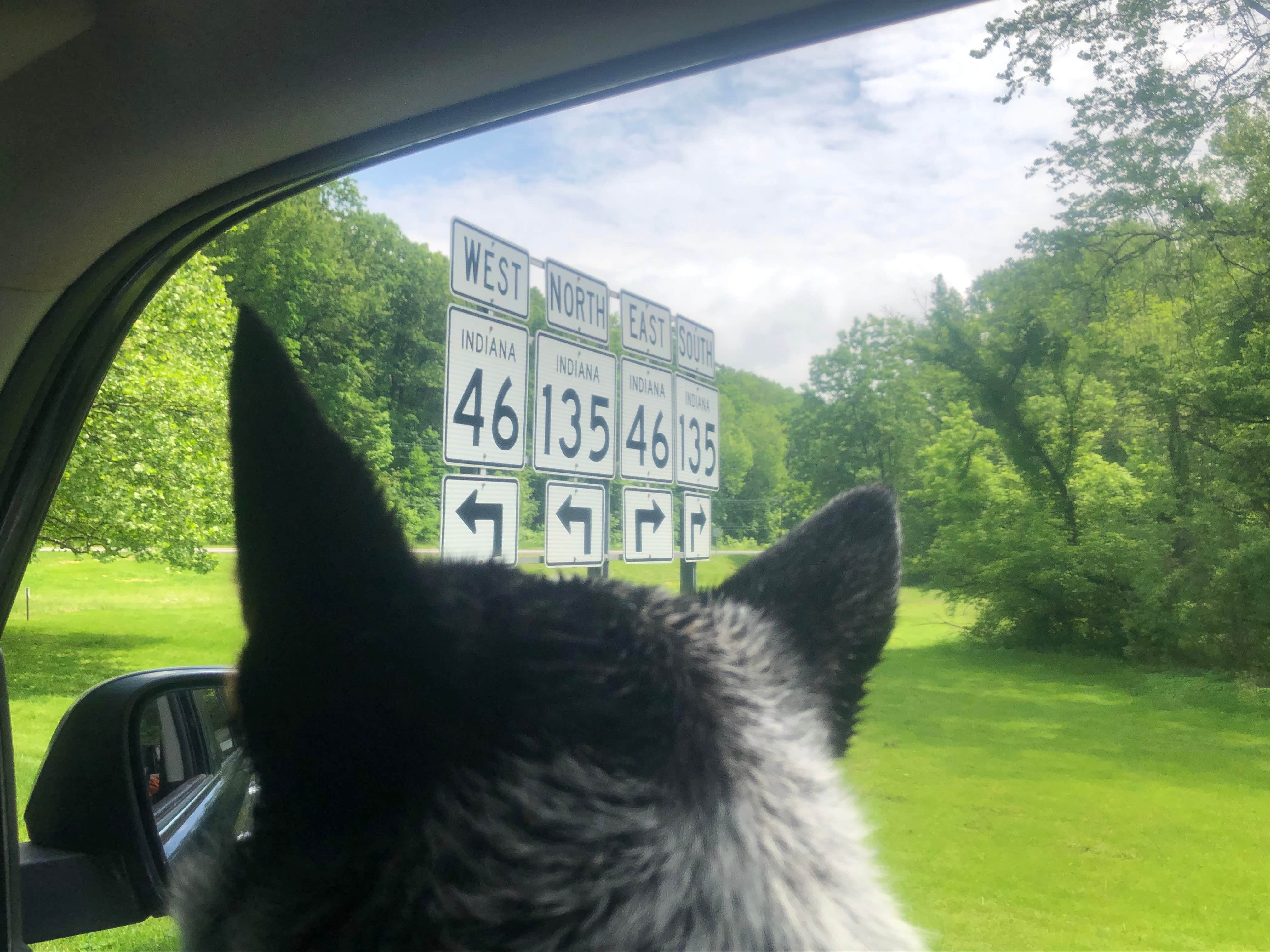 Shelly S.'s photo of camping with pets at Raccoon Ridge Campground — Brown County State Park near Franklin, IN