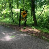 Review photo of Raccoon Ridge Campground — Brown County State Park by Shelly S., December 22, 2019