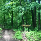 Review photo of Raccoon Ridge Campground — Brown County State Park by Shelly S., December 22, 2019