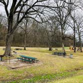 Review photo of Barren River Tailwater by Shelly S., December 23, 2019