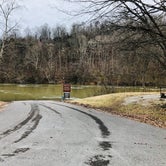 Review photo of Barren River Tailwater by Shelly S., December 23, 2019
