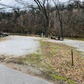 Review photo of Barren River Tailwater by Shelly S., December 23, 2019