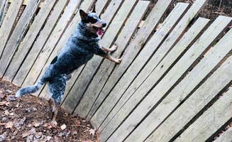 Shelly S.'s photo of camping with pets at Barren River Tailwater near Russellville, KY