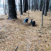 Review photo of Barren River Tailwater by Shelly S., December 23, 2019