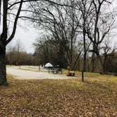 Review photo of Barren River Tailwater by Shelly S., December 23, 2019