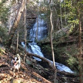 Review photo of Grundy Forest by Shelly S., December 23, 2019