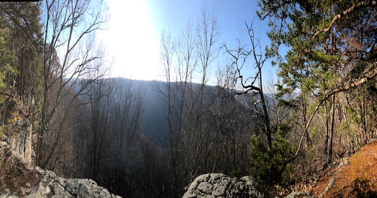 Grundy Forest
