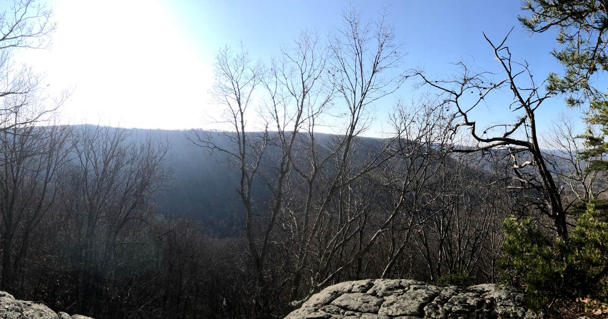 Grundy Forest