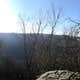 Grundy Forest