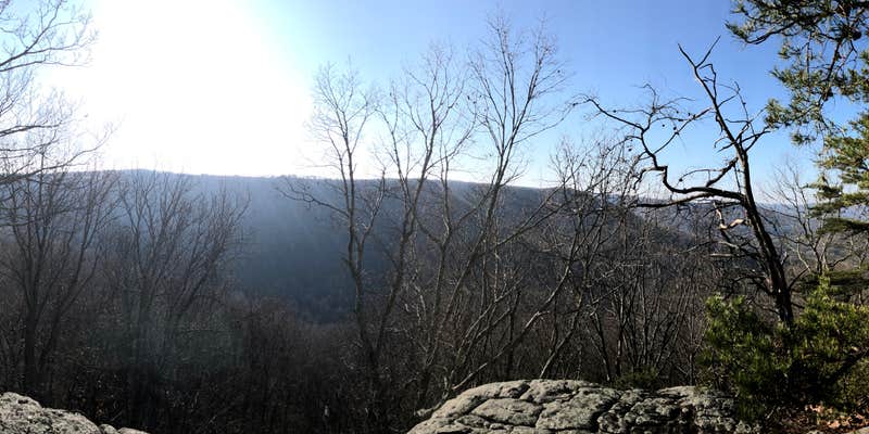 Camper submitted image from Grundy Forest