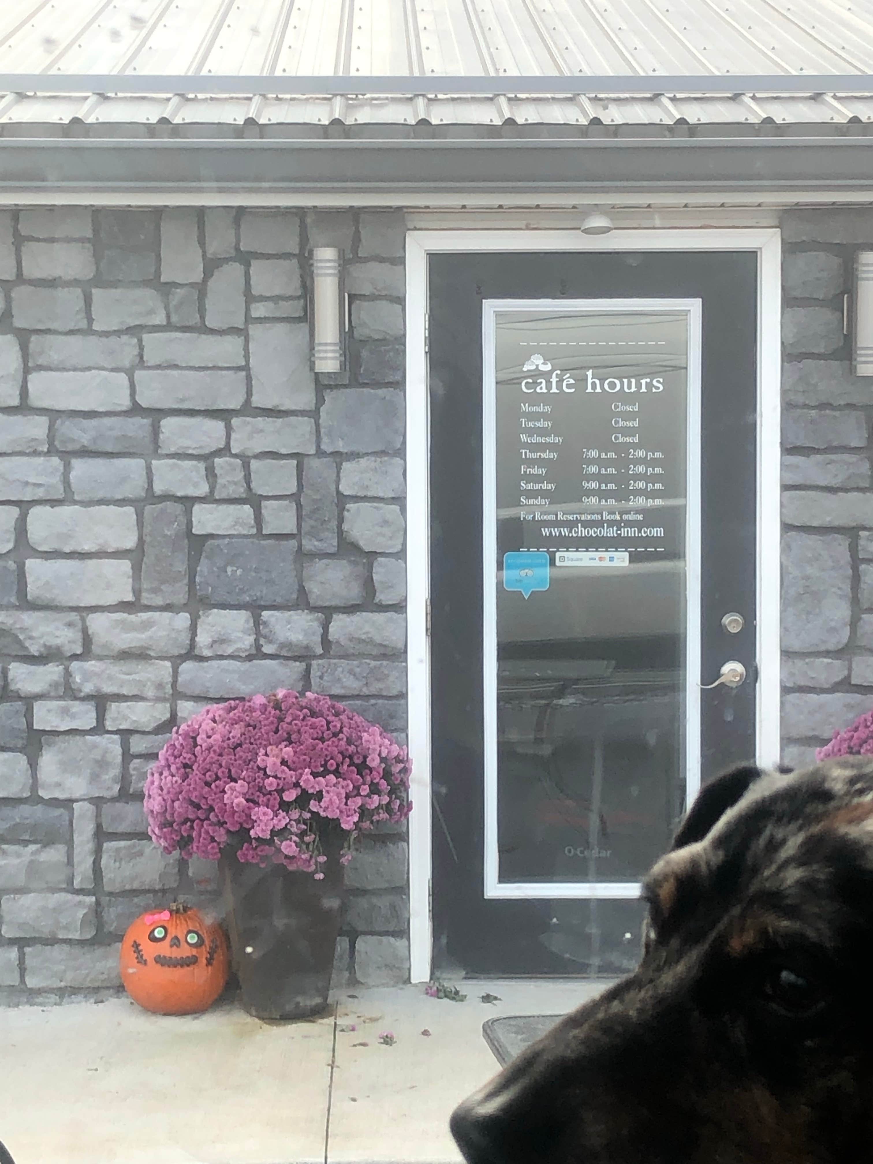 Shelly S.'s photo of camping with pets at Middle Fork Campground — Natural Bridge State Resort Park near Berea, KY