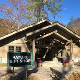 Review photo of Middle Fork Campground — Natural Bridge State Resort Park by Shelly S., December 23, 2019