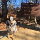 Review photo of Middle Fork Campground — Natural Bridge State Resort Park by Shelly S., December 23, 2019