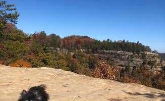 Shelly S.'s photo of camping with pets at Middle Fork Campground — Natural Bridge State Resort Park near Slade, KY