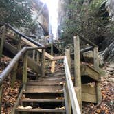 Review photo of Middle Fork Campground — Natural Bridge State Resort Park by Shelly S., December 23, 2019