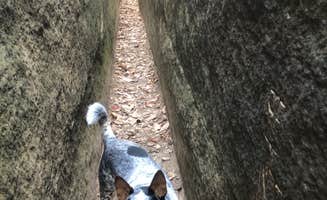 Shelly S.'s photo of camping with pets at Middle Fork Campground — Natural Bridge State Resort Park near Slade, KY