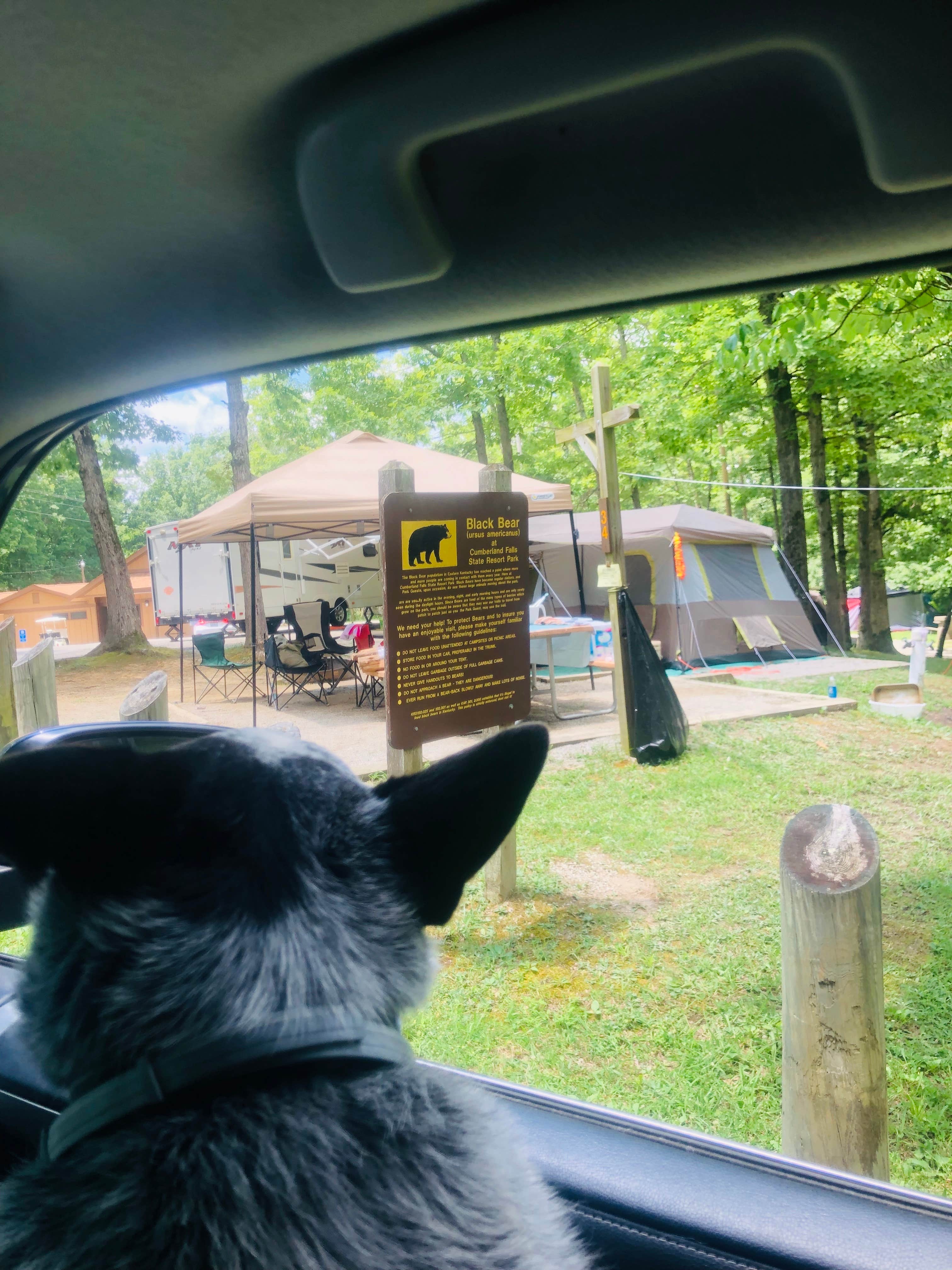 Shelly S.'s photo at Ridgeline Campground — Cumberland Falls State Resort Park near Stearns, KY
