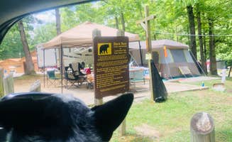 Shelly S.'s photo at Ridgeline Campground — Cumberland Falls State Resort Park near Laurel River Lake